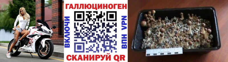 Купить  Среднеколымск  Галлюциногенные грибы ЛСД 